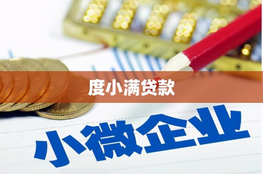 新河度小满贷款