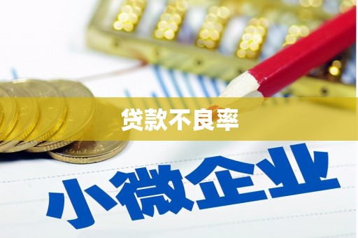 新河贷款不良率