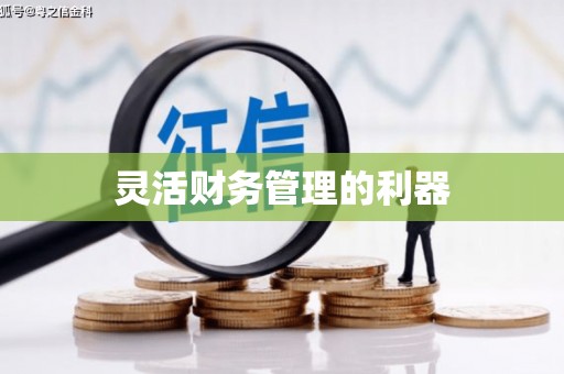 新河灵活财务管理的利器