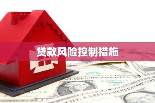 新河贷款风险控制措施