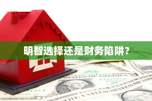 新河明智选择还是财务陷阱？