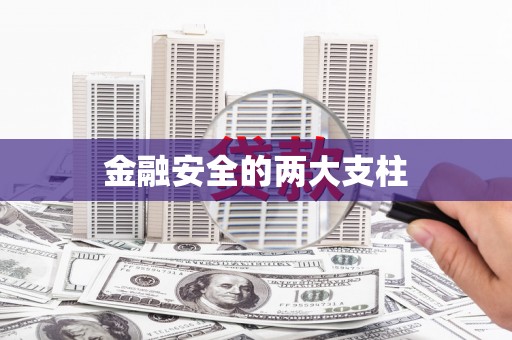 新河金融安全的两大支柱