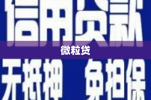 新河微粒贷