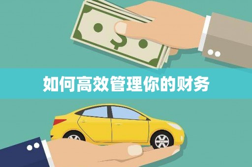 新河如何高效管理你的财务