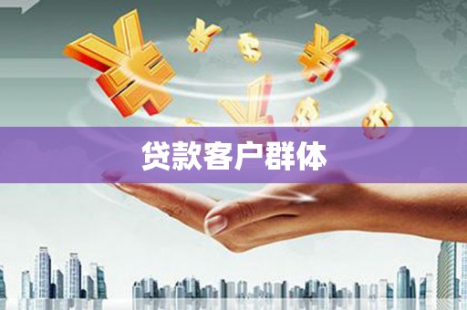 新河贷款客户群体