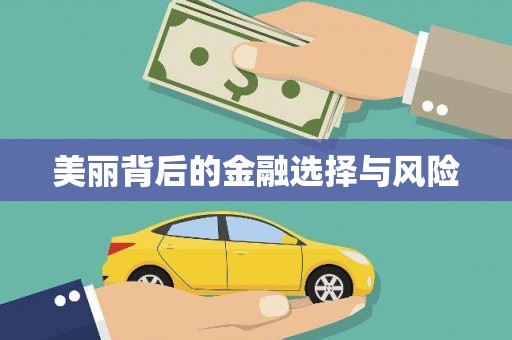 新河美丽背后的金融选择与风险