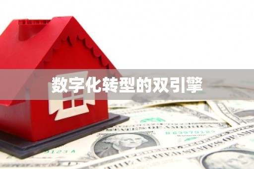 新河数字化转型的双引擎