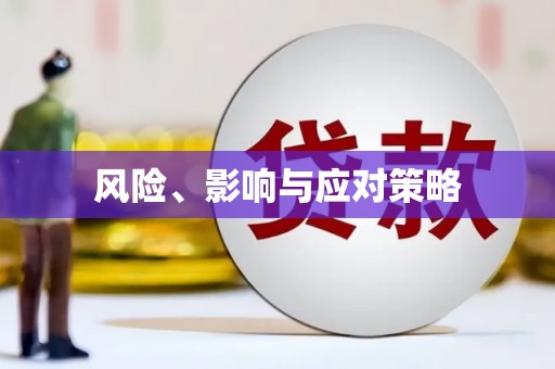新河风险、影响与应对策略