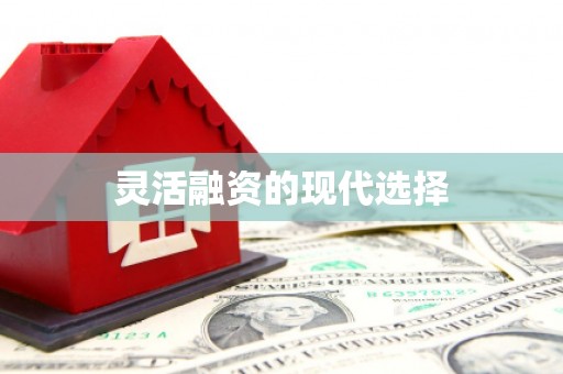 新河灵活融资的现代选择