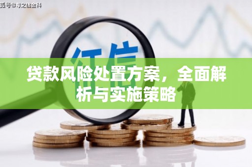 新河贷款风险处置方案，全面解析与实施策略