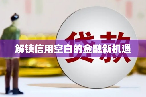 新河解锁信用空白的金融新机遇