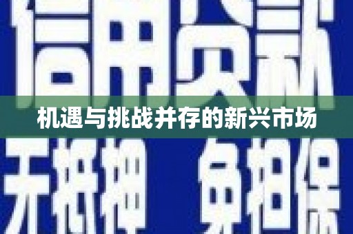 新河机遇与挑战并存的新兴市场
