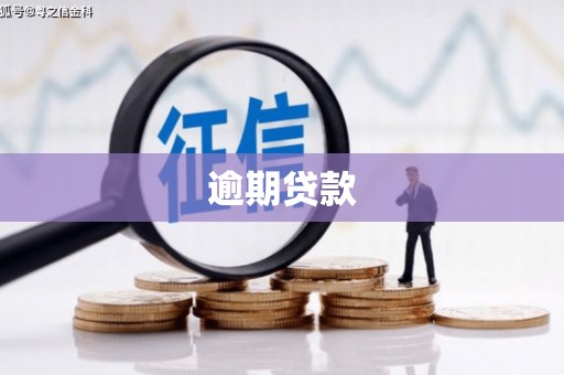 新河逾期贷款