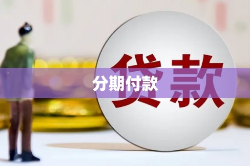新河分期付款