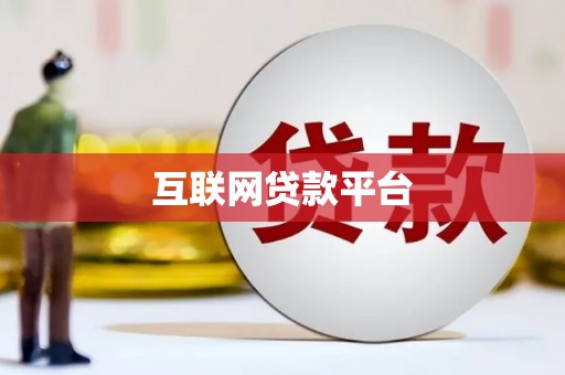 新河互联网贷款平台