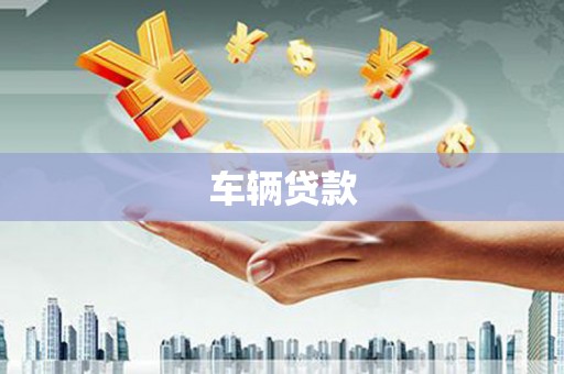 新河车辆贷款