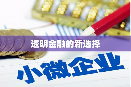 新河透明金融的新选择