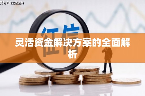 新河灵活资金解决方案的全面解析